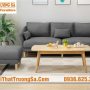 sofa-phong-khach-ts1811e-min